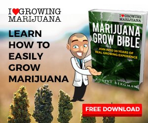 Download the FREE Grow Bible NOW!